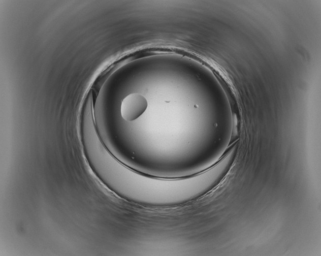 X0000110881342200906181217