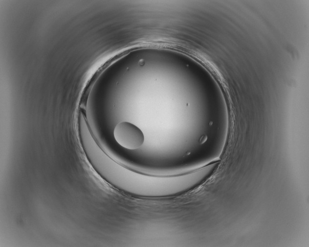 X0000110881344200906181217