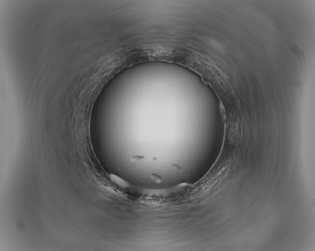 X0000110881345200906181217