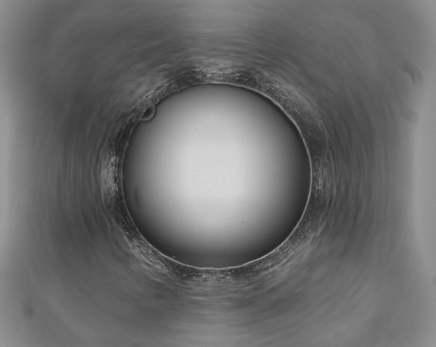 X0000110881346200906181217