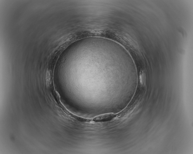 X0000110881347200906181217