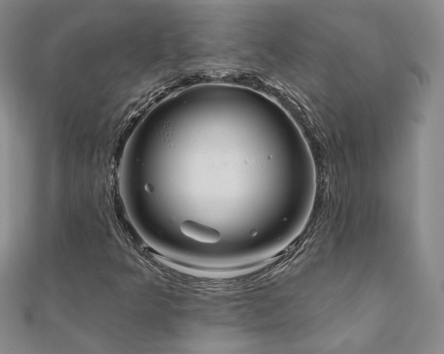 X0000110881349200906181217