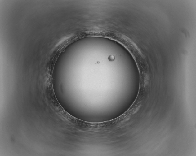 X0000110881350200906181217