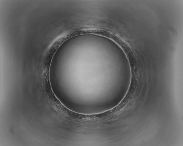 X0000110881351200906181217