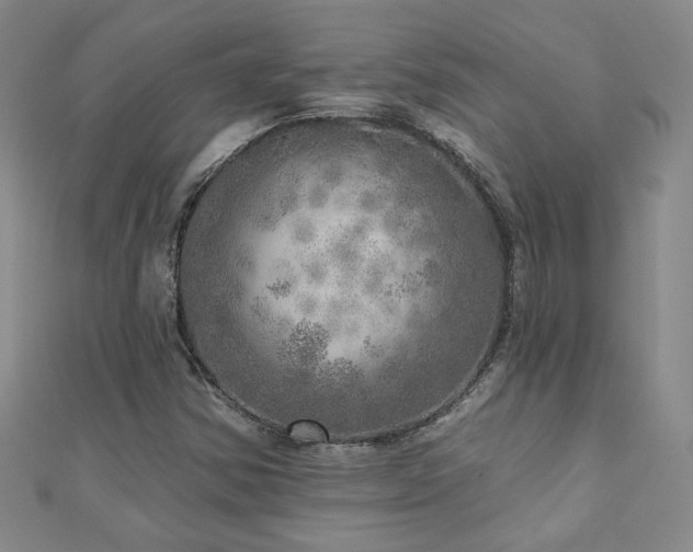 X0000110881354200906181217