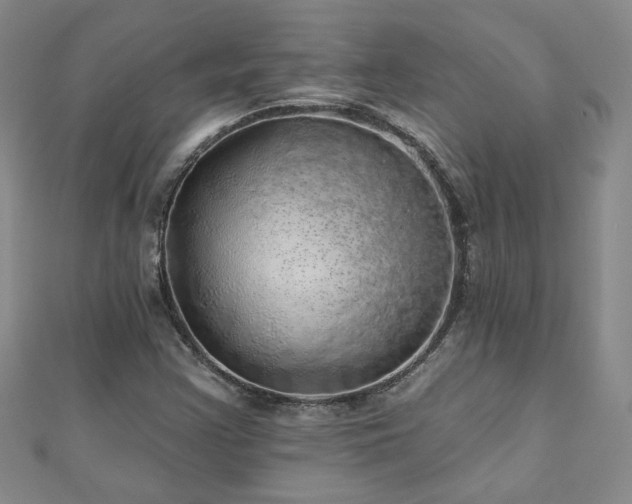 X0000110881355200906181217