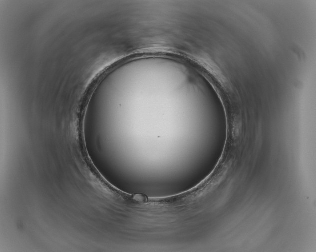 X0000110881356200906181217