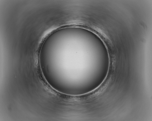 X0000110881358200906181216
