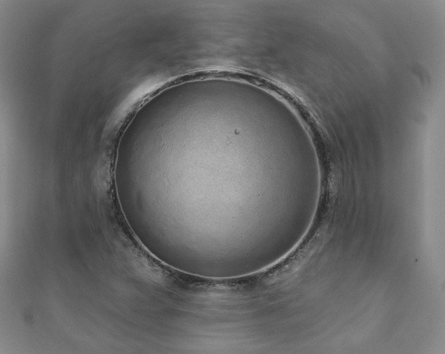 X0000110881359200906181216