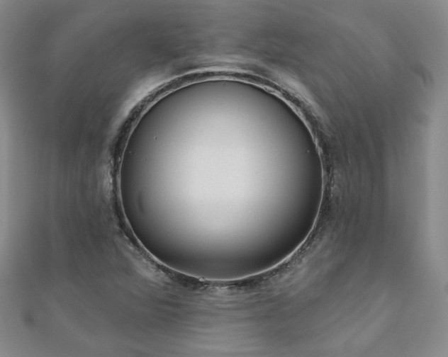 X0000110881360200906181216