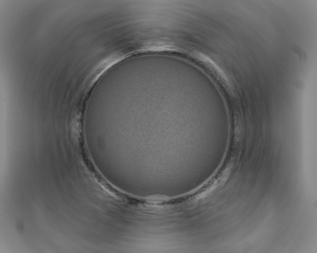 X0000110881361200906181216