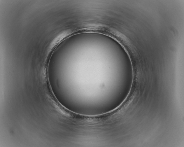 X0000110881362200906181216