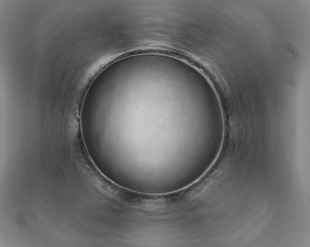 X0000110881363200906181216