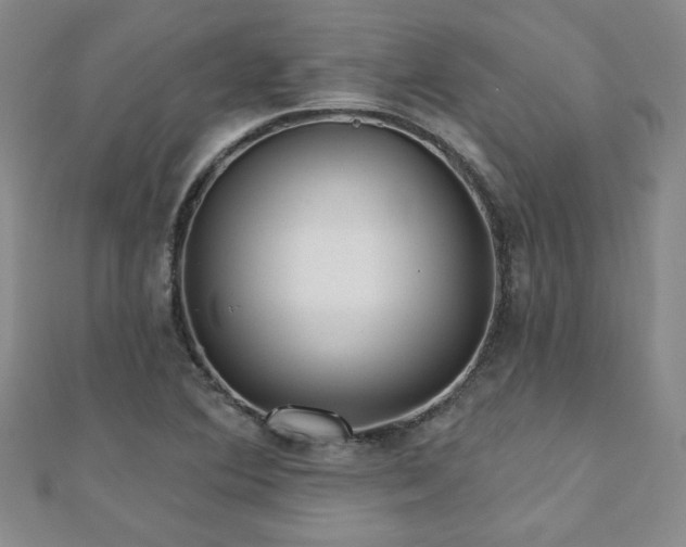 X0000110881364200906181216