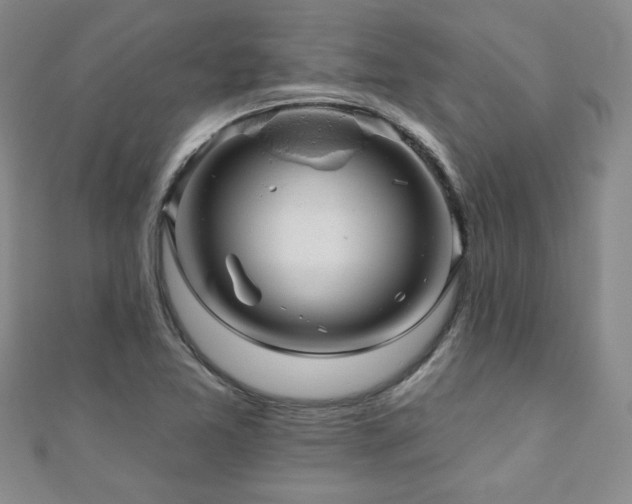 X0000110881365200906181216