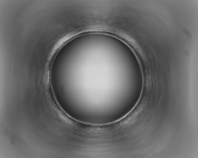 X0000110881366200906181216