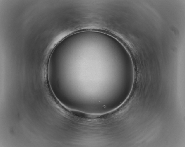 X0000110881367200906181216