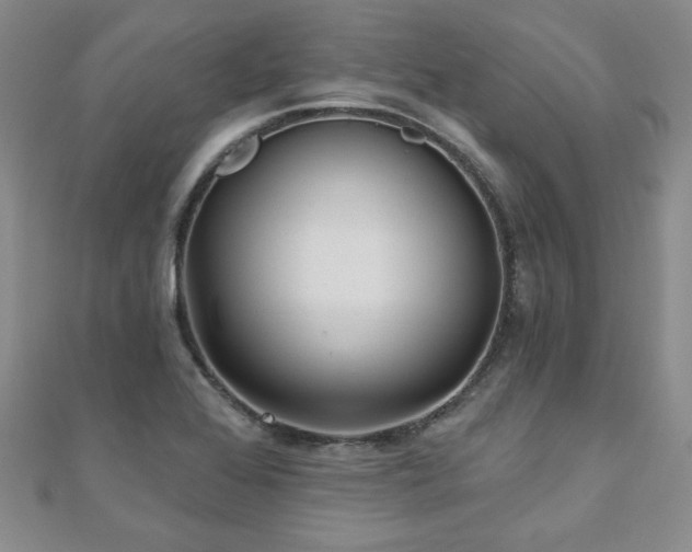 X0000110881368200906181216