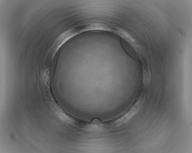 X0000110881369200906181216