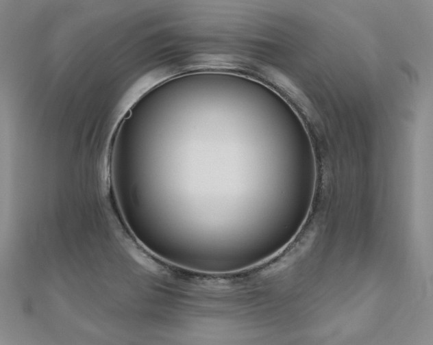 X0000110881370200906181216