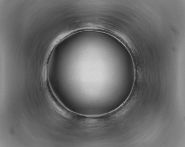 X0000110881371200906181216