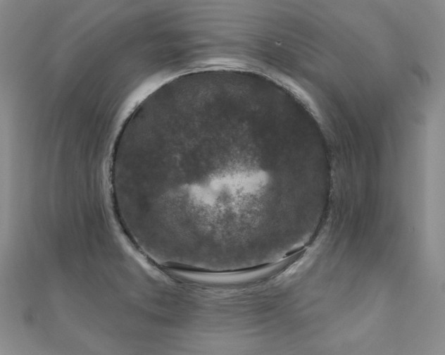 X0000110881373200906181216