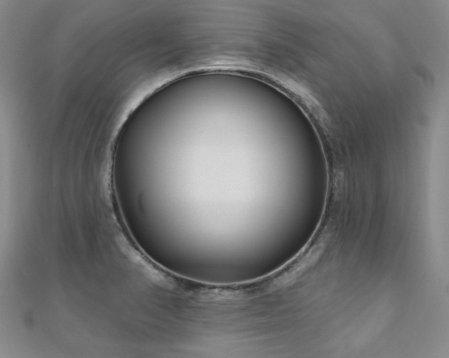 X0000110881374200906181216