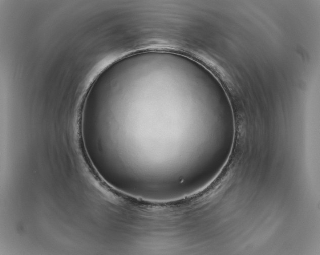 X0000110881375200906181216
