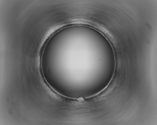 X0000110881376200906181216