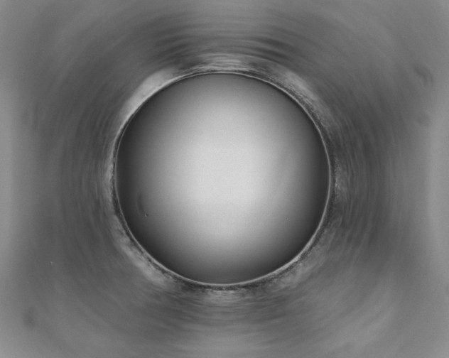 X0000110881378200906181216