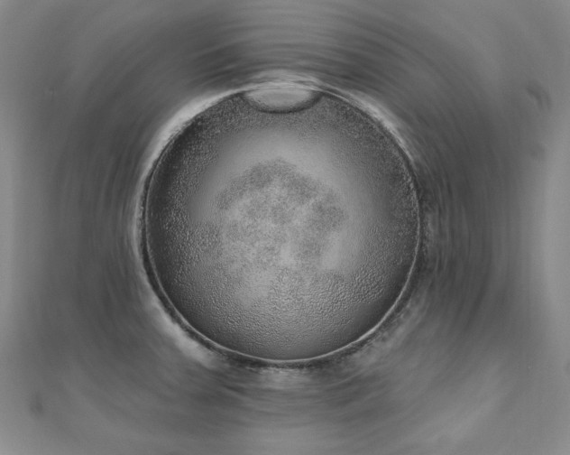 X0000110881379200906181216