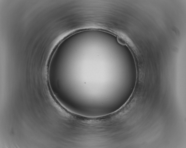 X0000110881380200906181216