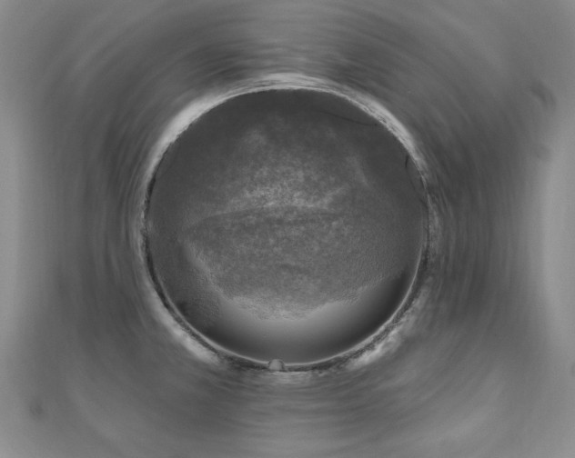 X0000110881381200906181216