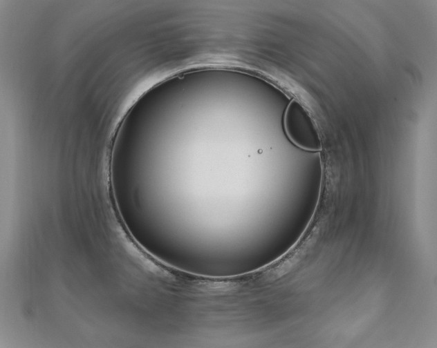 X0000110881382200906181216
