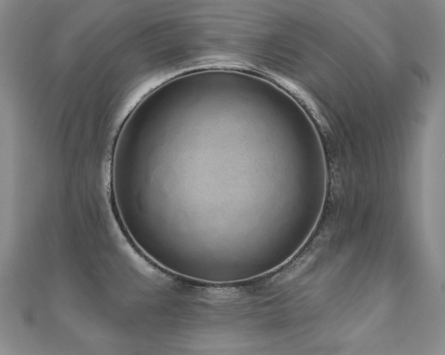 X0000110881383200906181216
