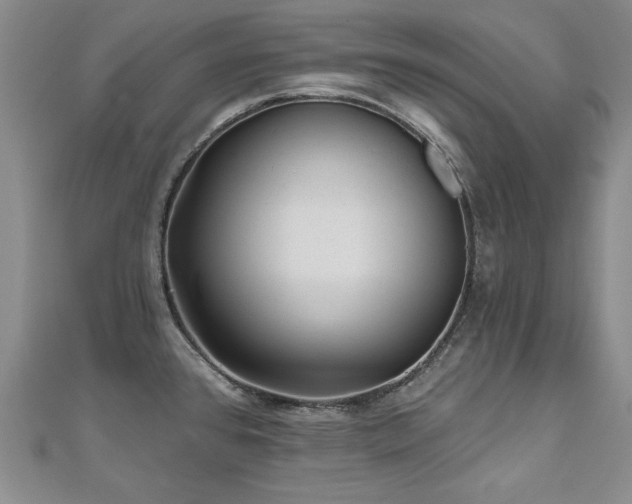 X0000110881384200906181216