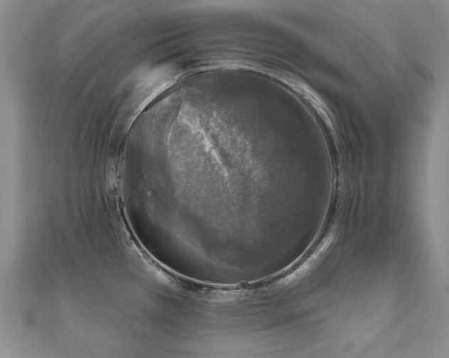 X0000110881385200906181216