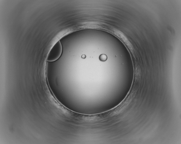 X0000110881386200906181216