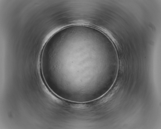 X0000110881387200906181216
