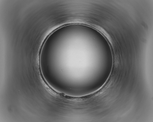 X0000110881388200906181216