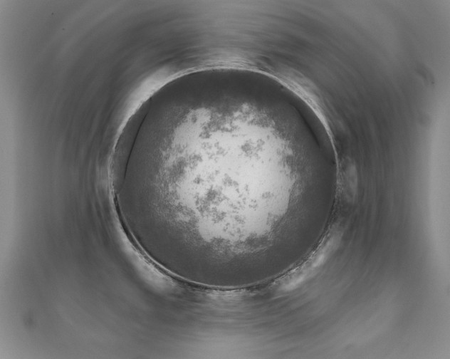X0000110881389200906181216