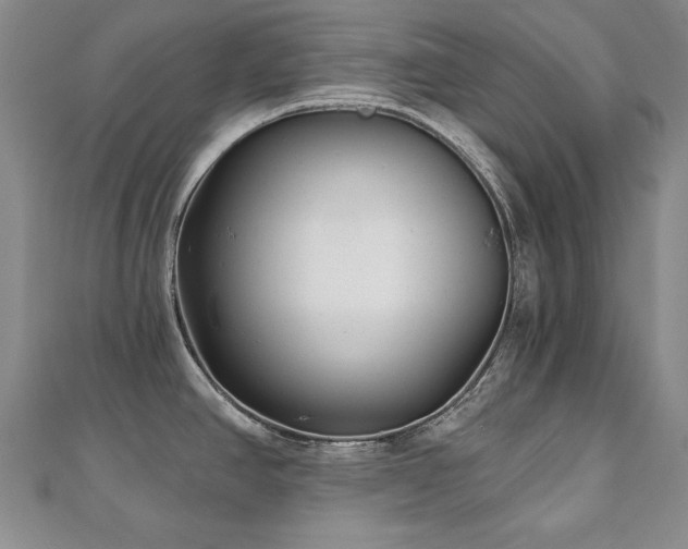X0000110881390200906181216
