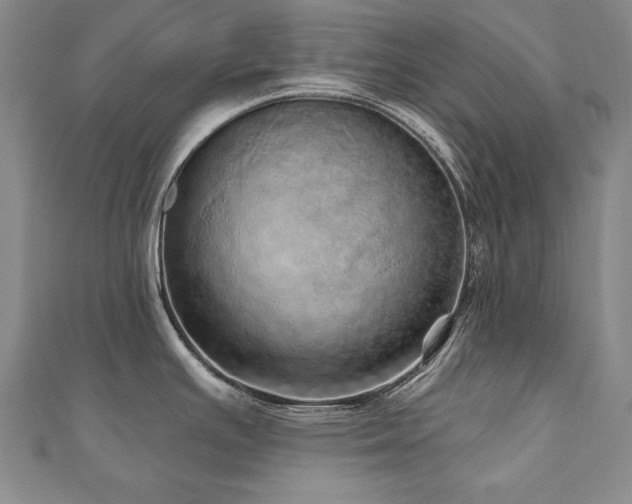 X0000110881391200906181216