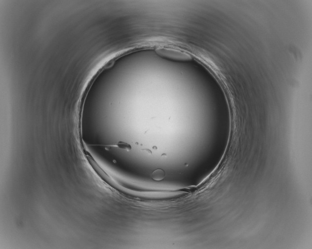 X0000110881392200906181216