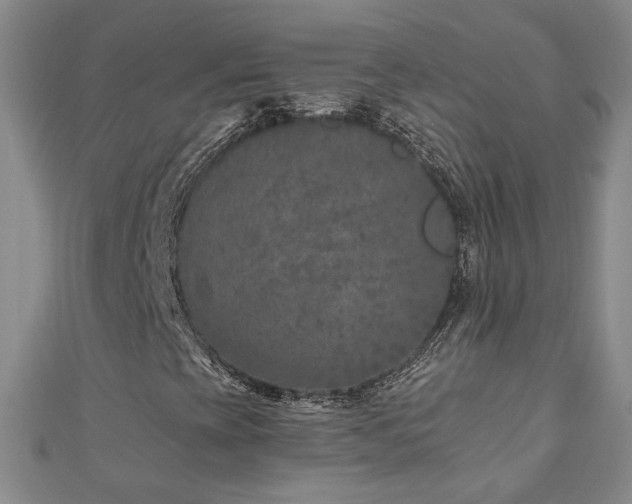 X0000110881393200906181215