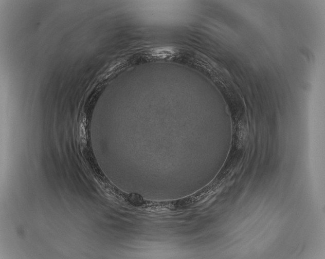 X0000110881394200906181215