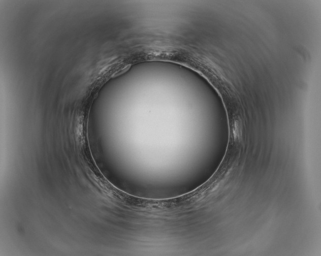 X0000110881396200906181215