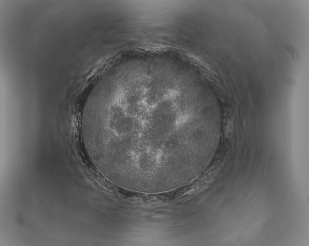 X0000110881397200906181215