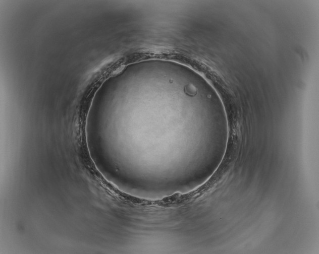 X0000110881398200906181215