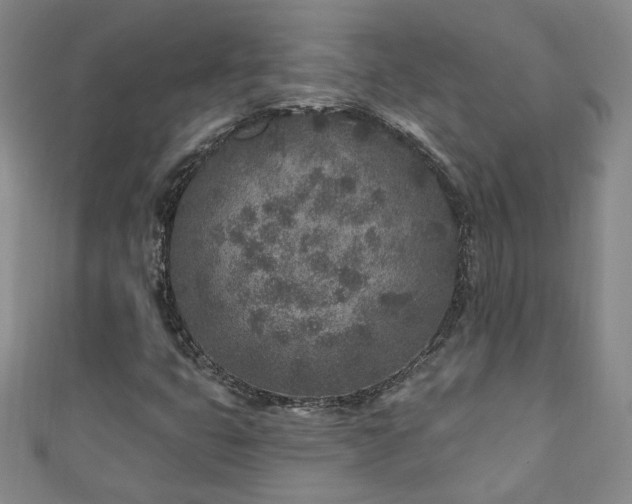 X0000110881399200906181216